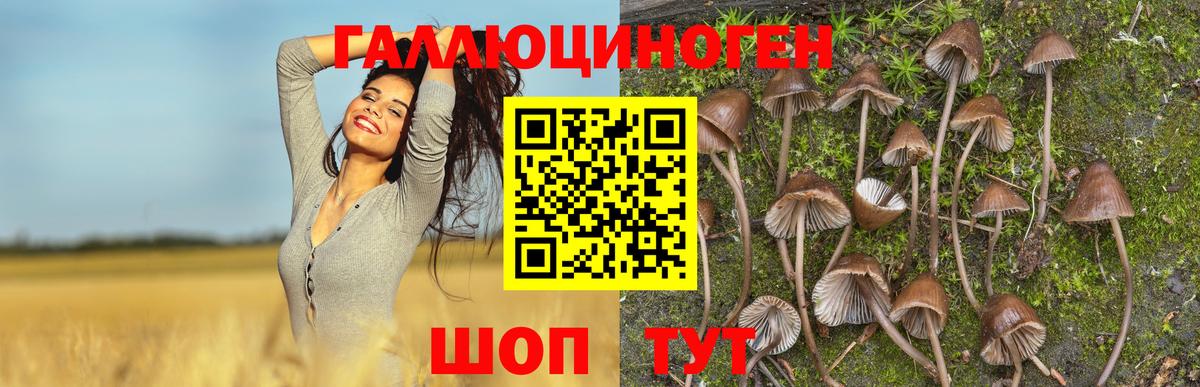 Псилоцибиновые грибы мухоморы  Псилоцибиновые грибы Psilocybine cubensis  Вход с VPN  Ефремов 