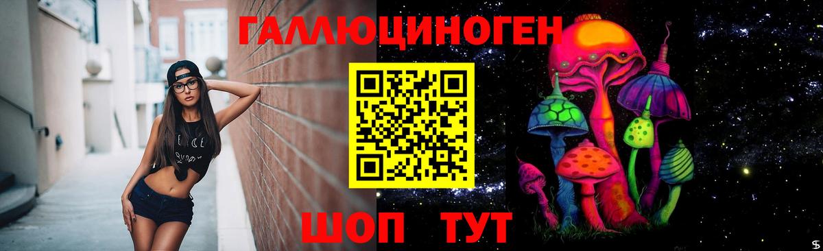 Галлюциногенные грибы мухоморы Ефремов