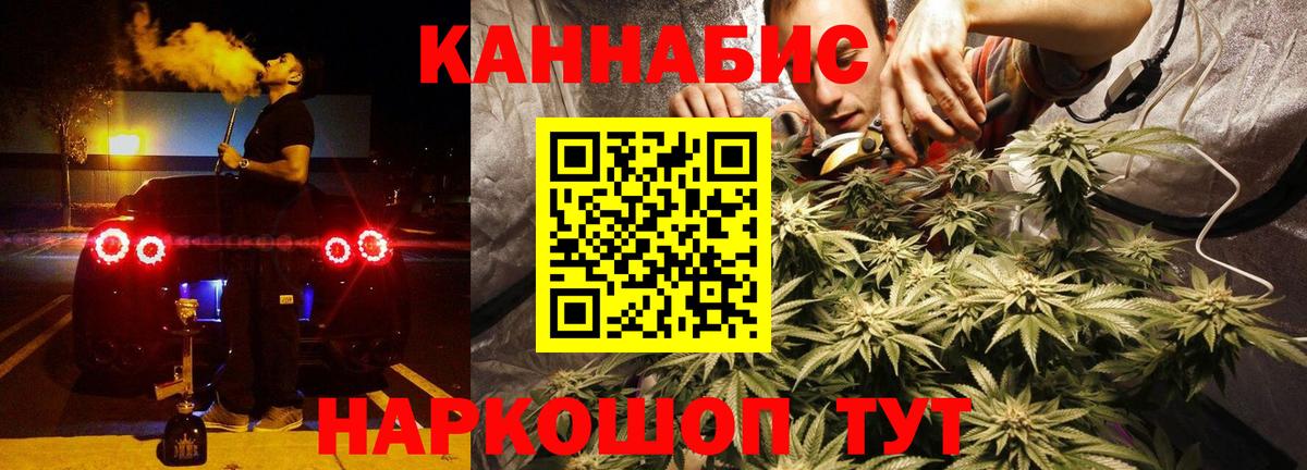 Бошки Шишки семена Ефремов